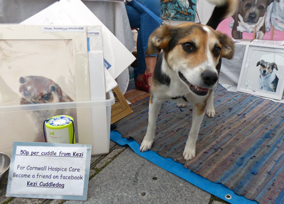 Dog hugs for charity