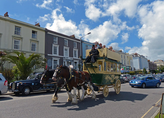 Lizard Stallions in Falmouth