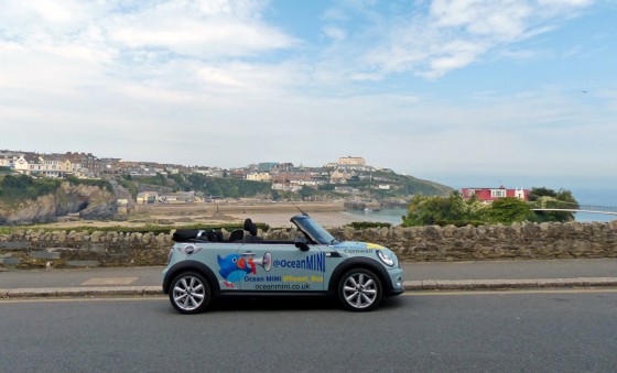 MINITweet Convertible