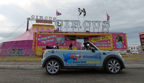MINITweet Convertible